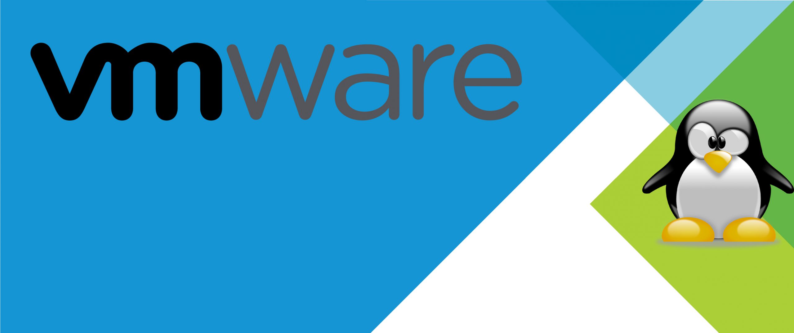 Linux tabanlı işletim sistemlerinde VMware tool yükleme